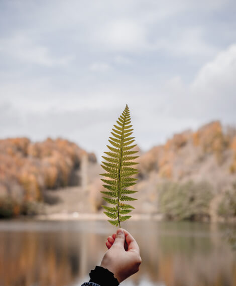 Welcome to Offbeat Sri Lanka — this site is still being built, so check back soon! Leaf